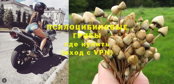 не бодяженный Волоколамск