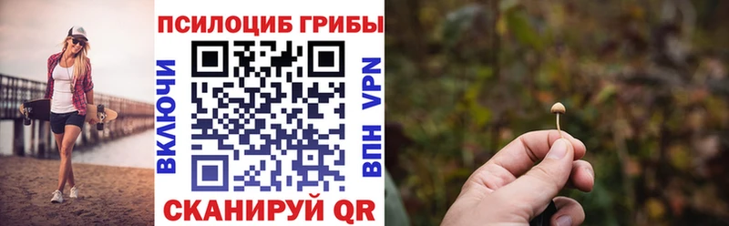 купить наркотик  сайты даркнета какой сайт  Галлюциногенные грибы Psilocybe  Иннополис 